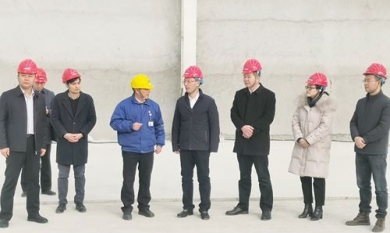 1616492443_5351_390x233