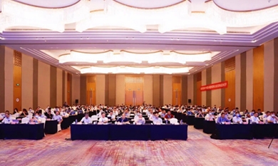 1640247016_5646_390x233