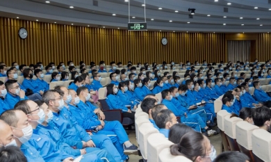 1658487246_7407_390x233