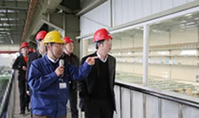 20170808172654_740_390x233