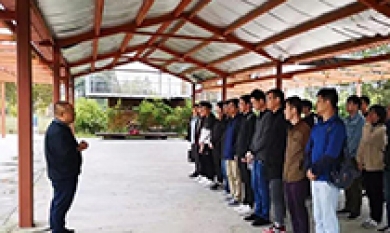 20181127184908_407_390x233